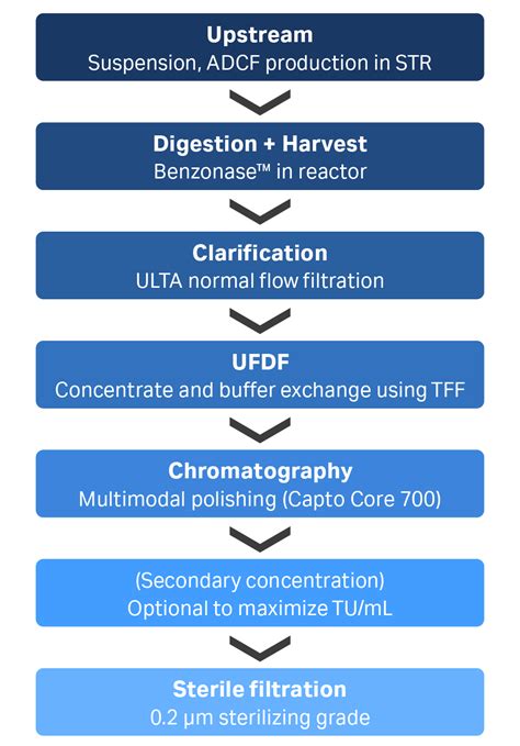 lv purification|lentivirus purification process.